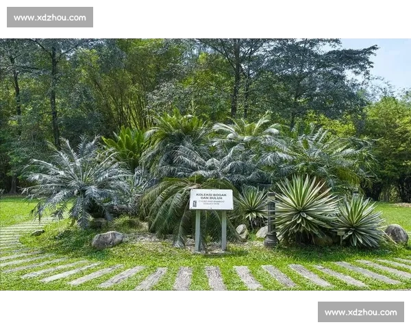 金杯赛非洲独苗:南非 2005 年的跨洋之旅 金杯赛非洲独苗:南非 2005 年的跨洋之旅